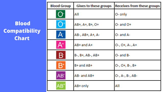 Blood Compablity Chart min